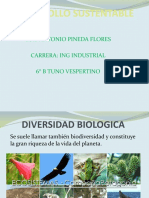 Diversidad Biologica