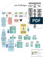 Mapa Conceptual - Pruebas y Evaluación Psicológica