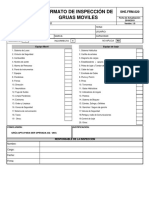 Inspección grúa móvil formato