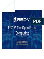 RISC-V New Era