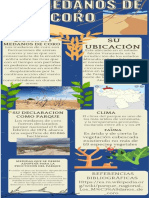 Infografia Medanos de Coro