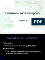 Sensation and Perception: Psychology: An Introduction Charles A. Morris & Albert A. Maisto © 2005 Prentice Hall