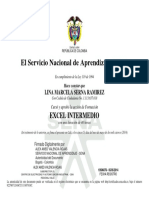 SENA Excel Intermedio Certificado 40 Horas