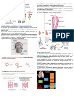 Patologia de La Pleura P