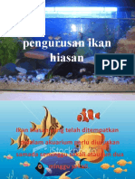 Download pengurusan ikan hiasan by akma azhar SN52697882 doc pdf