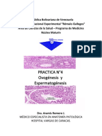 Practica 4. Ovogenesis y Espermatogenesis