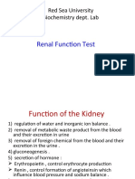 Renal Function Test: Red Sea University Biochemistry Dept. Lab