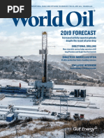”rockhopper” Gulfpub Wo 201009 | PDF | Blowout (Well Drilling) | Subsea