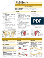 Resumen Osteología MS