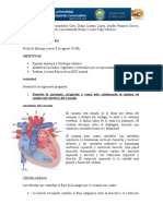 GUIA DE ESTUDIO EKG (1)