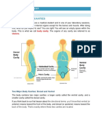 M1 L3 Body Cavities