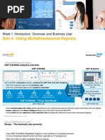 Unit 4: Using Multidimensional Reports: Week 1: Introduction, Overview, and Business User