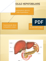 Dieta in Bolile Hepatobiliare