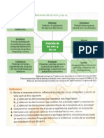 Esquema 1.1 Principales Funciones de Los MMC y Las RS