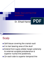 Scalp, Face and Lacrimal Apparatus: Dr. Elhadi Hamid)