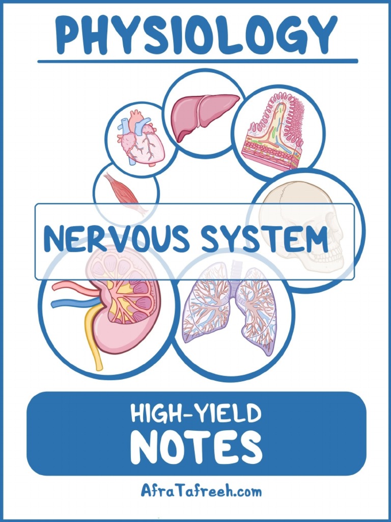 14 Nervous System | PDF | Nervous System | Chemical Synapse