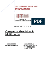 Computer Graphics & Multimedia: Institute of Technology and Management