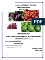 Bedasa Ijigu - Fruits Prod Proposal PDF