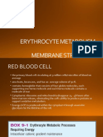 Erythrocyte Metabolism and Membrane Structure