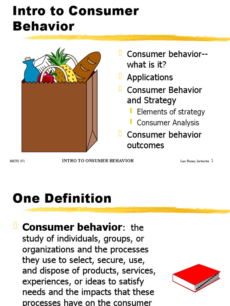 Understanding Consumer Behavior Basics | PDF | Marketing | Market ...