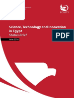 Science, Technology and Innovation in Egypt: Status Brief