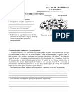 test Sisteme economice (2)