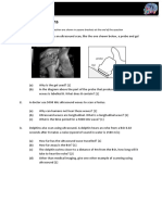 Ultrasound Scans Worksheet - 0