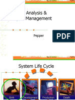 Systems Analysis & IT Project Management: Pepper