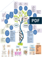 Mind Map - Amelia S Nisa - 1102016021-Dikonversi