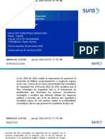 05-Plan Estrategico de Seguridad Vial (Asesoria Sura)