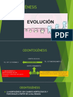 Tema 1.1 Odontogénesis