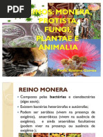 Características dos 5 REINOS de seres vivos