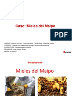 Doku - Pub Calidad y Mejora Continua Mieles Del Maipo