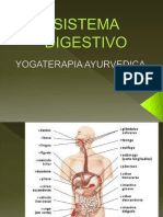 Sistema-Digestivo-Yogaterapia Módulo 4 Power Point