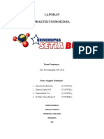 EKSTRAKSI DNA TANAMAN