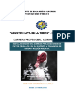 Proyecto-Productivo-Pato-2015-docx