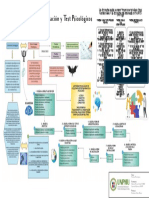 Mapa Conceptual - Pruebas y Evaluación Psicológica - Máximo Pericchi Vidal & Grabiela Martinez