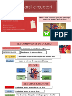 Els Aparells Respiratori, Circulatori I Digestiu