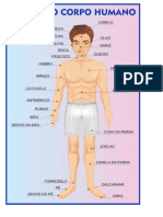 Partes Do Corpo