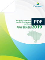 BRASIL 2019 Pesquisa de Posse