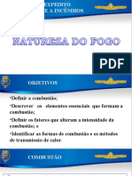 CAP. 01 NATUREZA DO FOGO