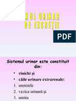 Sistem_urinar_2021-38243