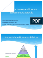 Aula 4 Resposta Humana a Doença - Estresse e Adaptação