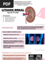 Litiasis Renal Presentacion Seminario 2
