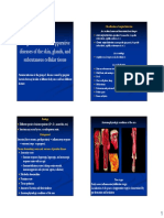 Lecture №14 Surgical infection. skin and glands (cоrec)