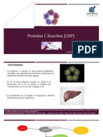 6B-Proteína C Reactiva