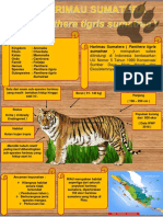 Harimau Sumatera Kritis