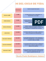 8 Periodos Del Ciclo de Vida