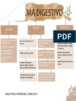 Mapa Conceptual Sistema Digestivo-Karla Paola Rodriguez Jaimes