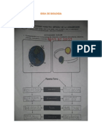 Guia Biologia Rotacion